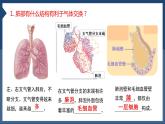 3.2+发生在肺内的气体交换（第二课时）课件PPT