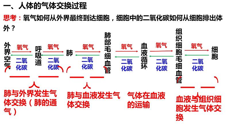 4.3.2 发生在肺内的气体交换课件PPT03