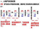 4.3.2 发生在肺内的气体交换课件PPT