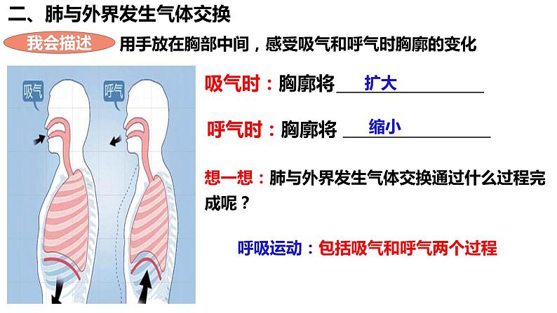 4.3.2 发生在肺内的气体交换课件PPT06