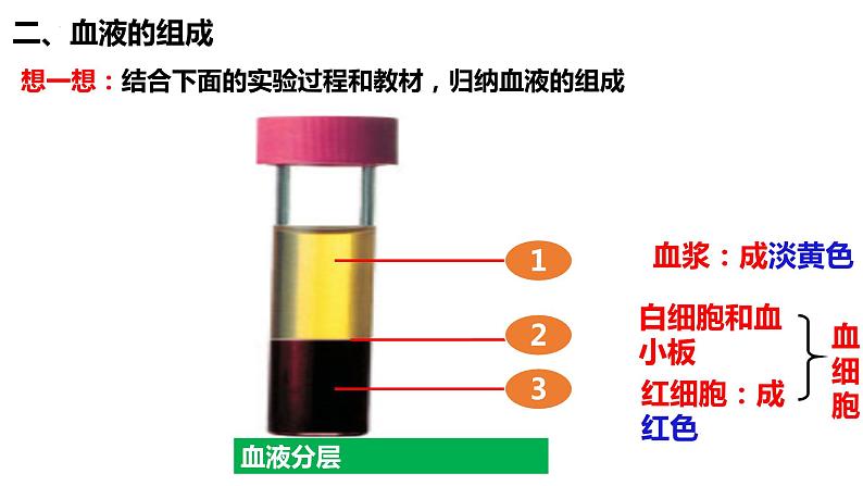 4.4.1 流动的组织—血液课件PPT06