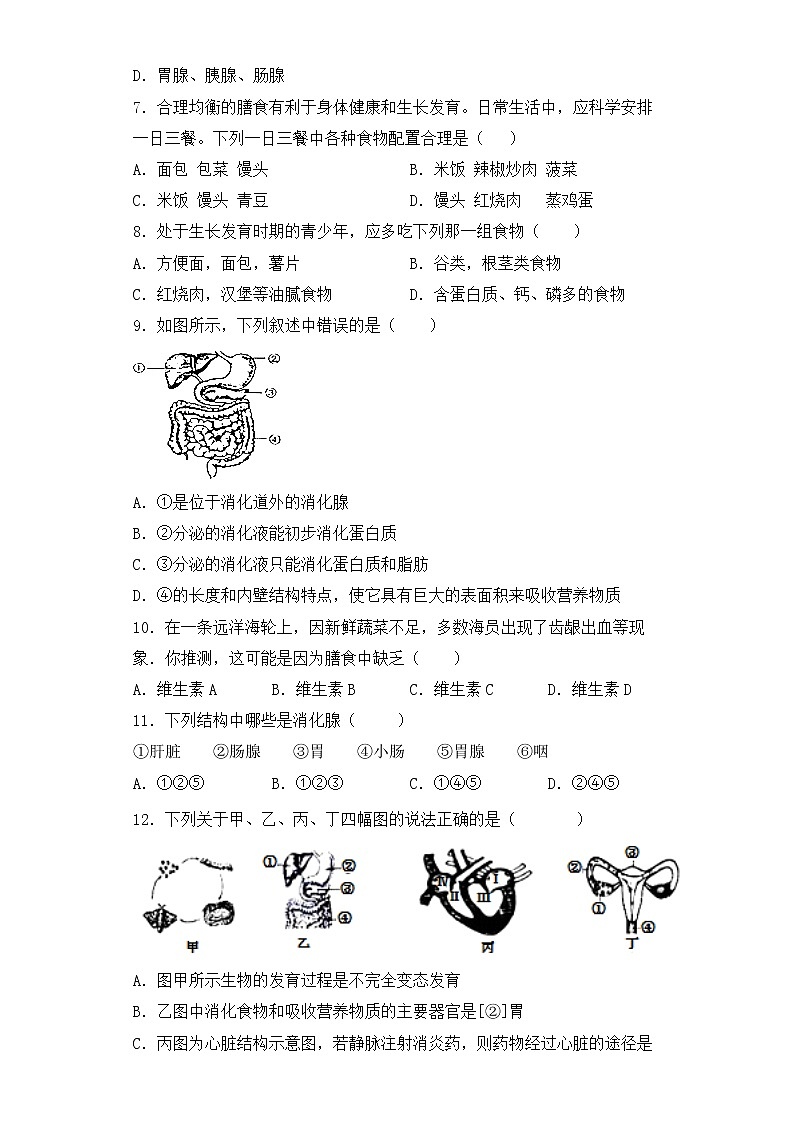 人教版生物七年级下册第二章（人体的营养）检测试卷02