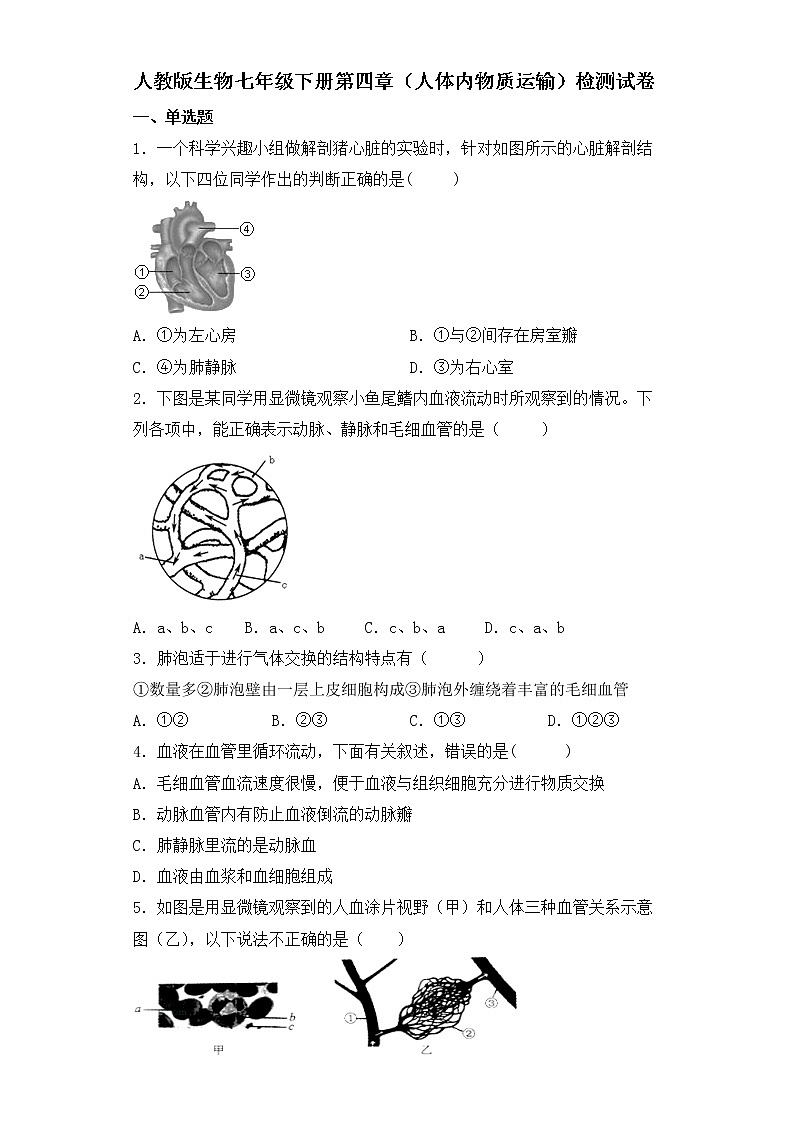 人教版生物七年级下册第四章（人体内物质的运输）检测试卷01