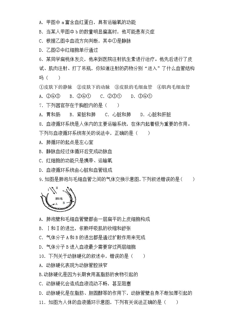 人教版生物七年级下册第四章（人体内物质的运输）检测试卷02