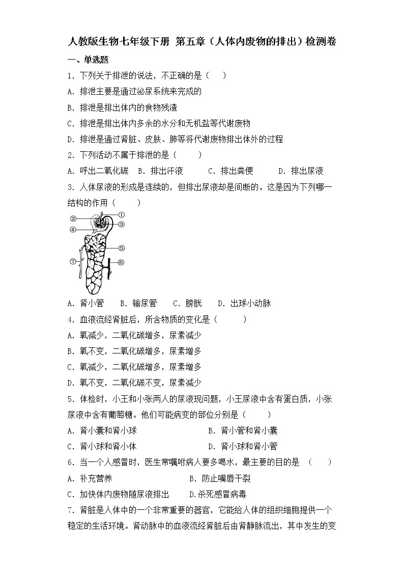 人教版生物七年级下册第五章（人体内废物的排出）检测试卷01