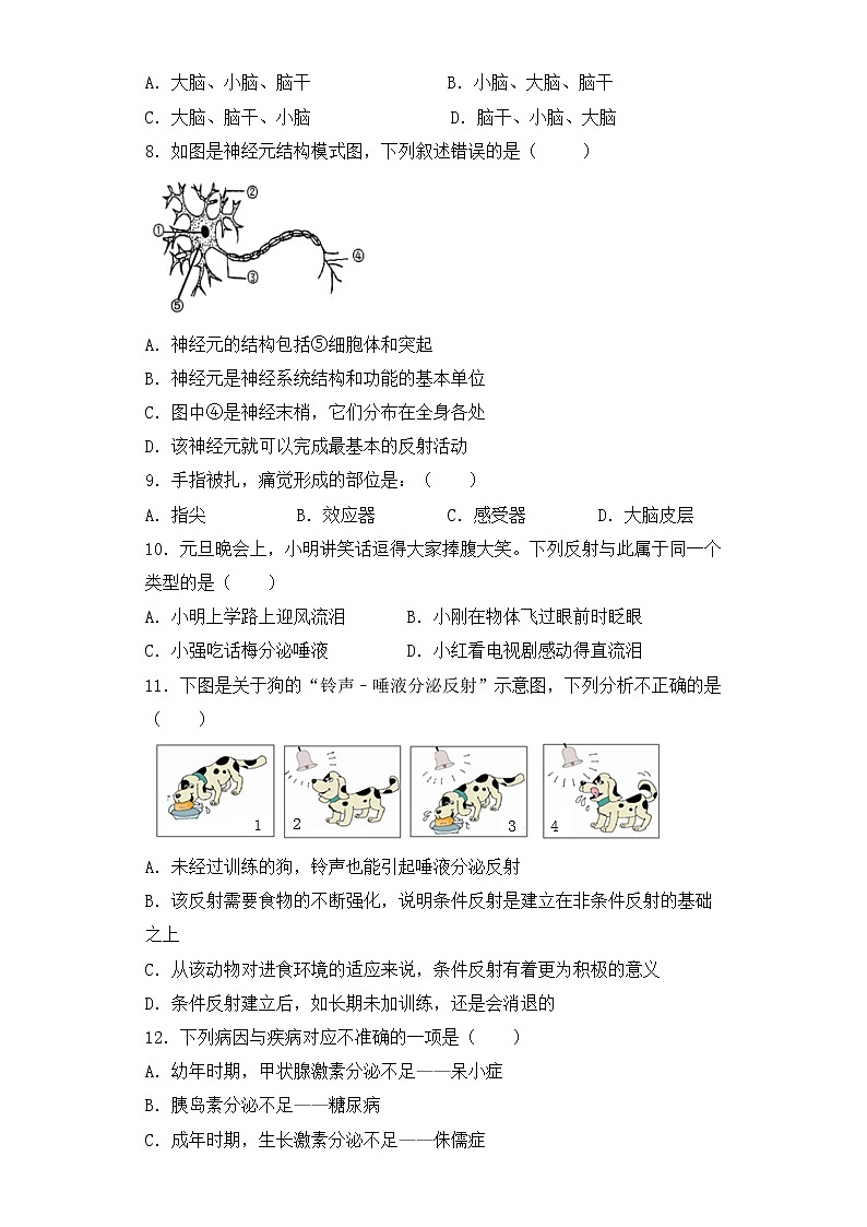 人教版生物七年级下册第六章（人体生命活动的调节）检测试卷02