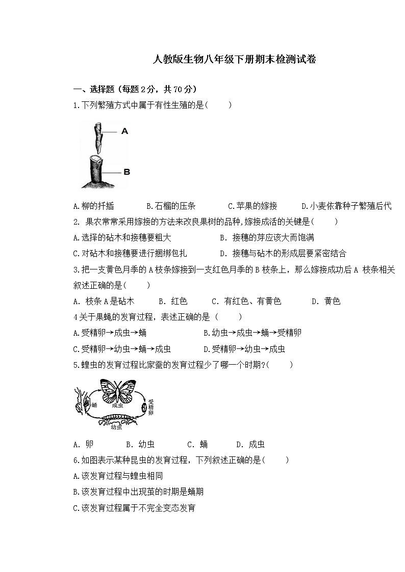 人教版生物八年级下册期末检测试卷01