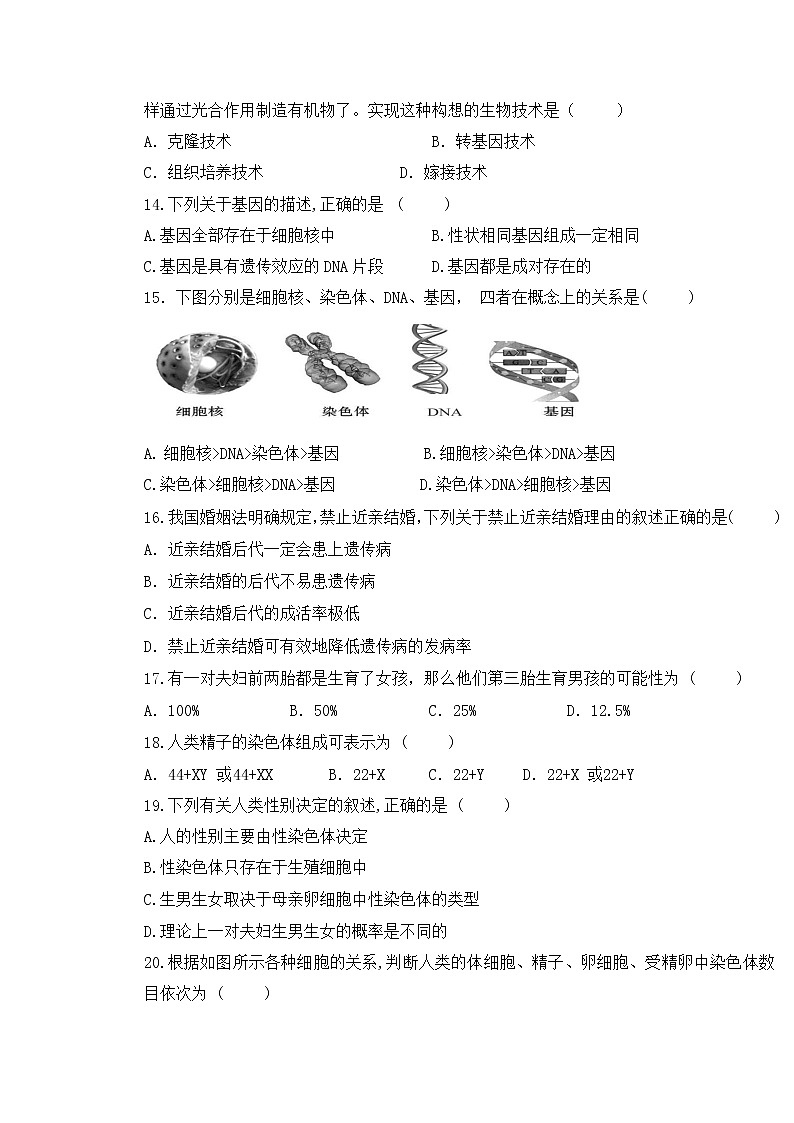 人教版生物八年级下册期末检测试卷03