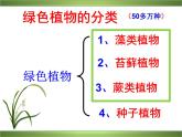 藻类、苔藓和蕨类植物课件PPT