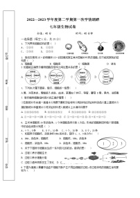 江苏省徐州市沛县汉城文昌学校2022-2023学年七年级下学期第一次月考生物试题