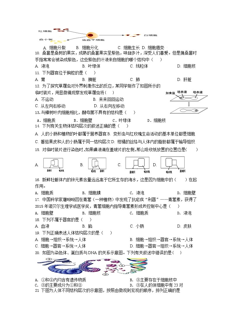 江苏省徐州市沛县汉城文昌学校2022-2023学年七年级下学期第一次月考生物试题02