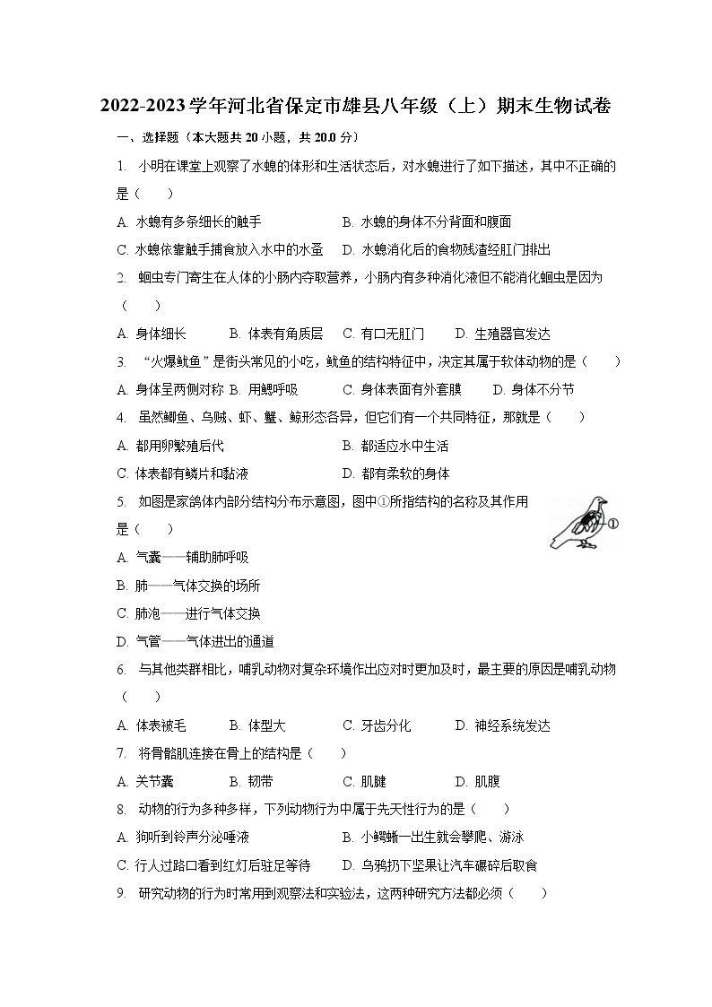2022-2023学年河北省保定市雄县八年级（上）期末生物试卷（含解析）01