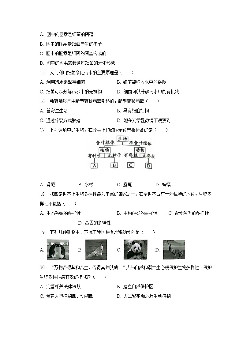 2022-2023学年河北省保定市雄县八年级（上）期末生物试卷（含解析）03