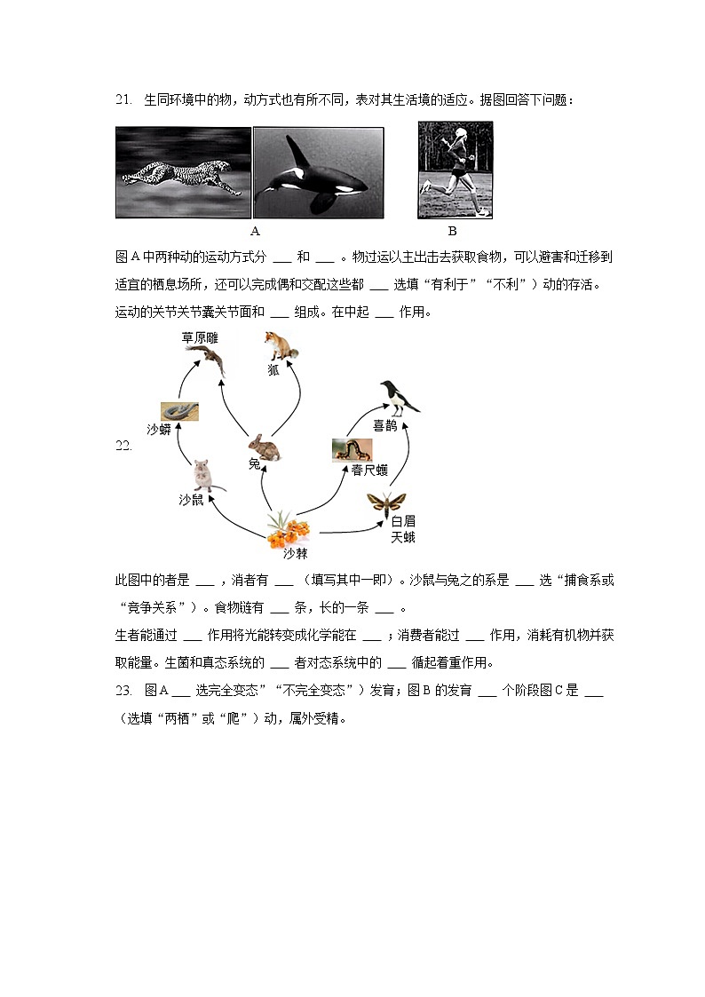 2022-2023学年河北省廊坊市大城县八年级（上）期末生物试卷（含解析）第3页