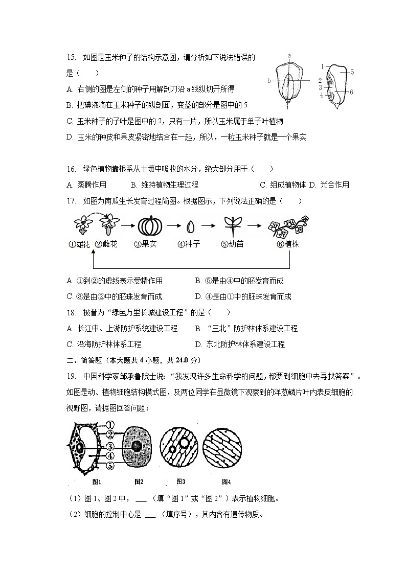 2022-2023学年河南省驻马店市西平县七年级（上）期末生物试卷（含解析）第3页