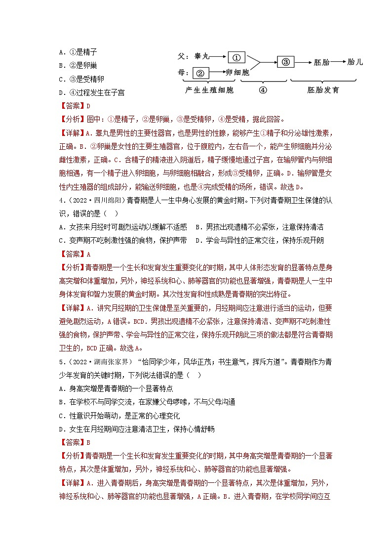第八章 人的生殖与发育（培优卷）——2022-2023学年七年级下册生物单元卷（苏教版）02