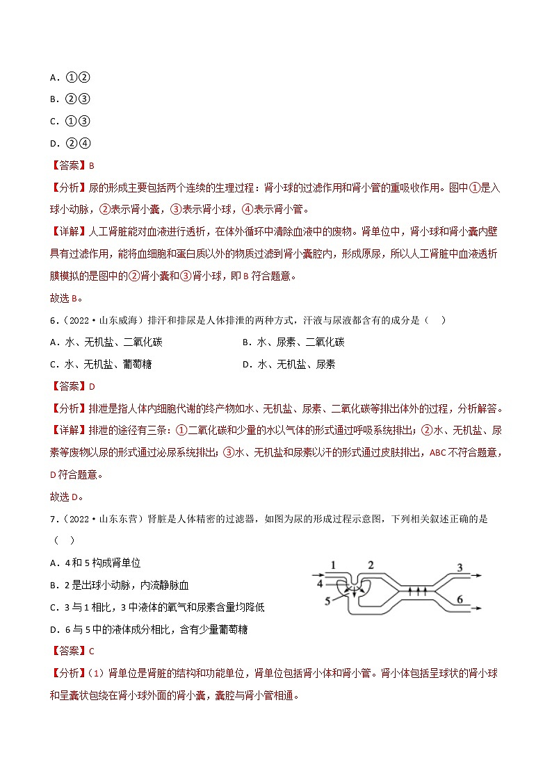 第十一章 人体内的废物排入环境（培优卷）（解析版）第3页