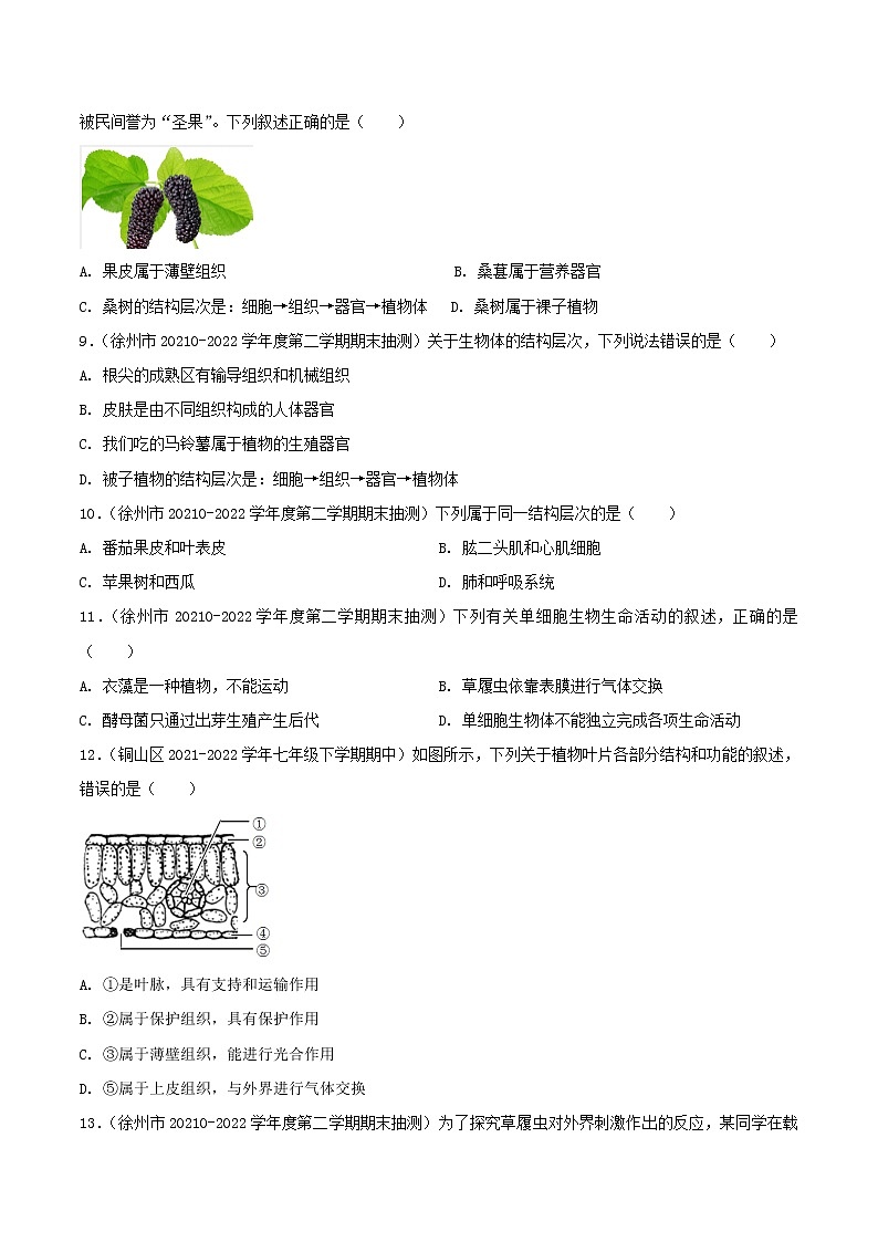 第九章 生物体有相似的结构层次（培优卷）——2022-2023学年七年级下册生物单元卷（苏科版）（原卷版+解析版）02