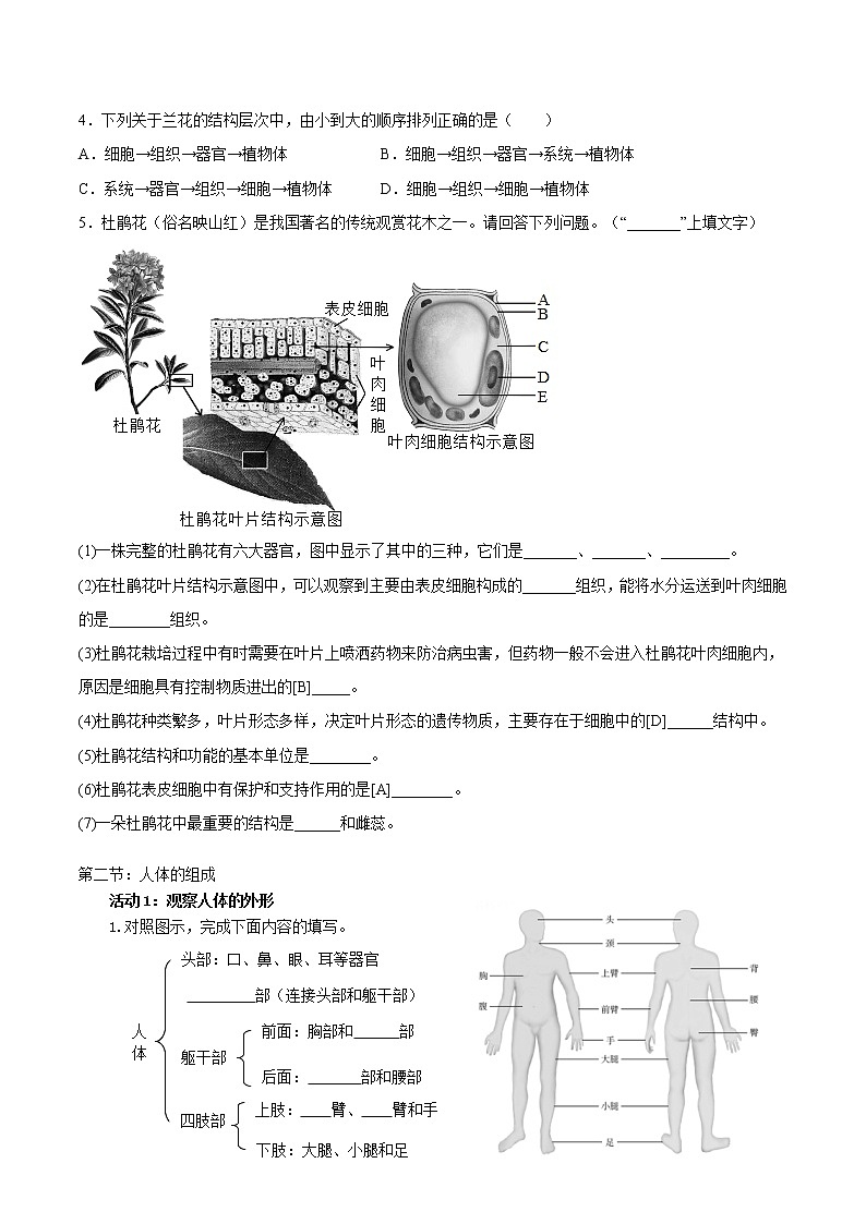第九章 生物体有相似的结构层次（基础卷）——2022-2023学年七年级下册生物单元卷（苏科版）（原卷版+解析版）03