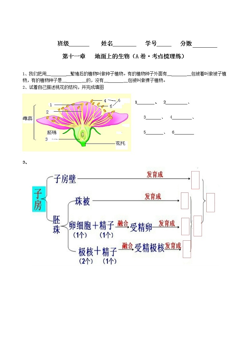 第十一章  地面上的生物（基础卷）——2022-2023学年七年级下册生物单元卷（苏科版）（原卷版+解析版）01