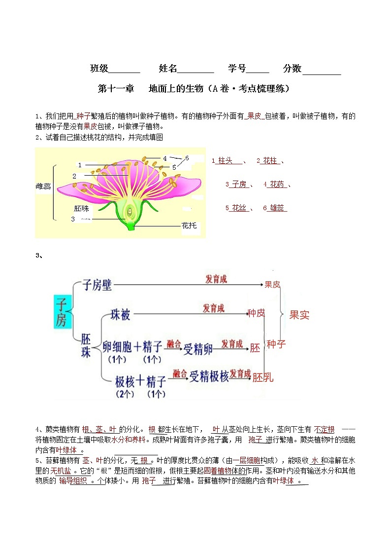 第十一章  地面上的生物（基础卷）——2022-2023学年七年级下册生物单元卷（苏科版）（原卷版+解析版）01
