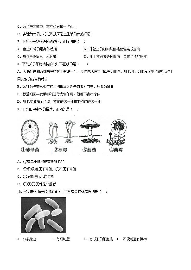 第十三章  土壤里的生物（培优卷）——2022-2023学年七年级下册生物单元卷（苏科版）（原卷版+解析版）02