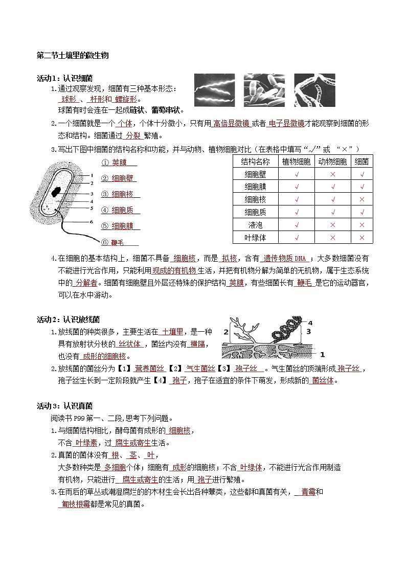 第十三章  土壤里的生物（基础卷）——2022-2023学年七年级下册生物单元卷（苏科版）（原卷版+解析版）02