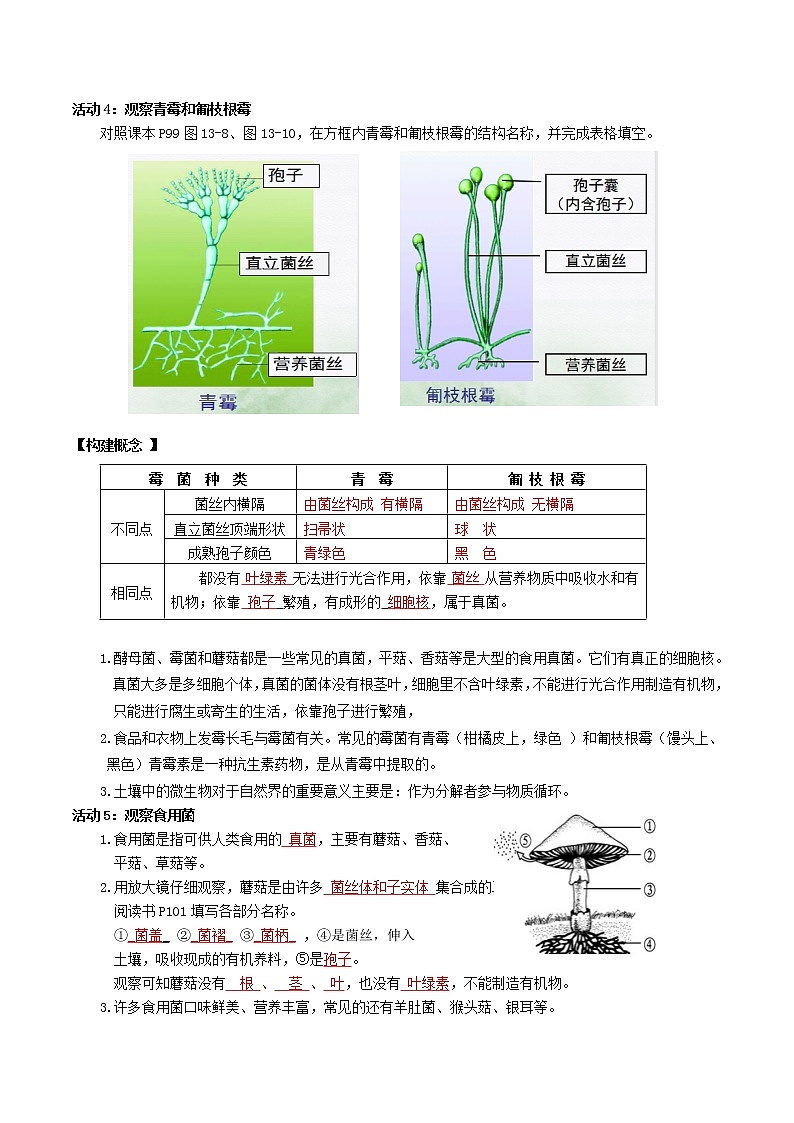 第十三章  土壤里的生物（基础卷）——2022-2023学年七年级下册生物单元卷（苏科版）（原卷版+解析版）03