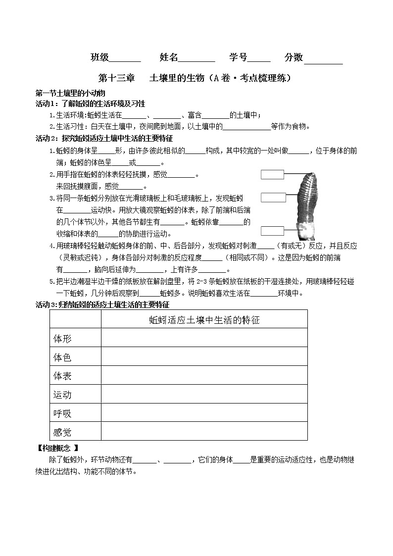 第十三章  土壤里的生物（基础卷）——2022-2023学年七年级下册生物单元卷（苏科版）（原卷版+解析版）01