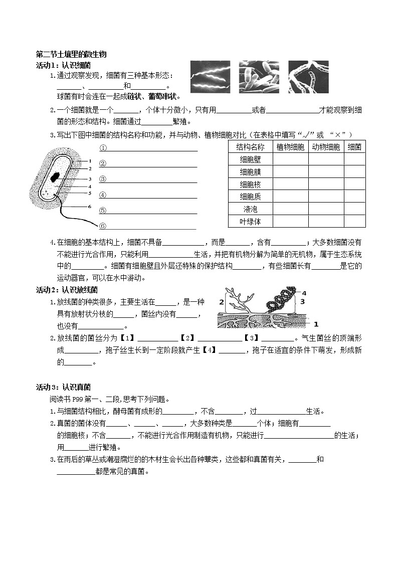 第十三章  土壤里的生物（基础卷）——2022-2023学年七年级下册生物单元卷（苏科版）（原卷版+解析版）02