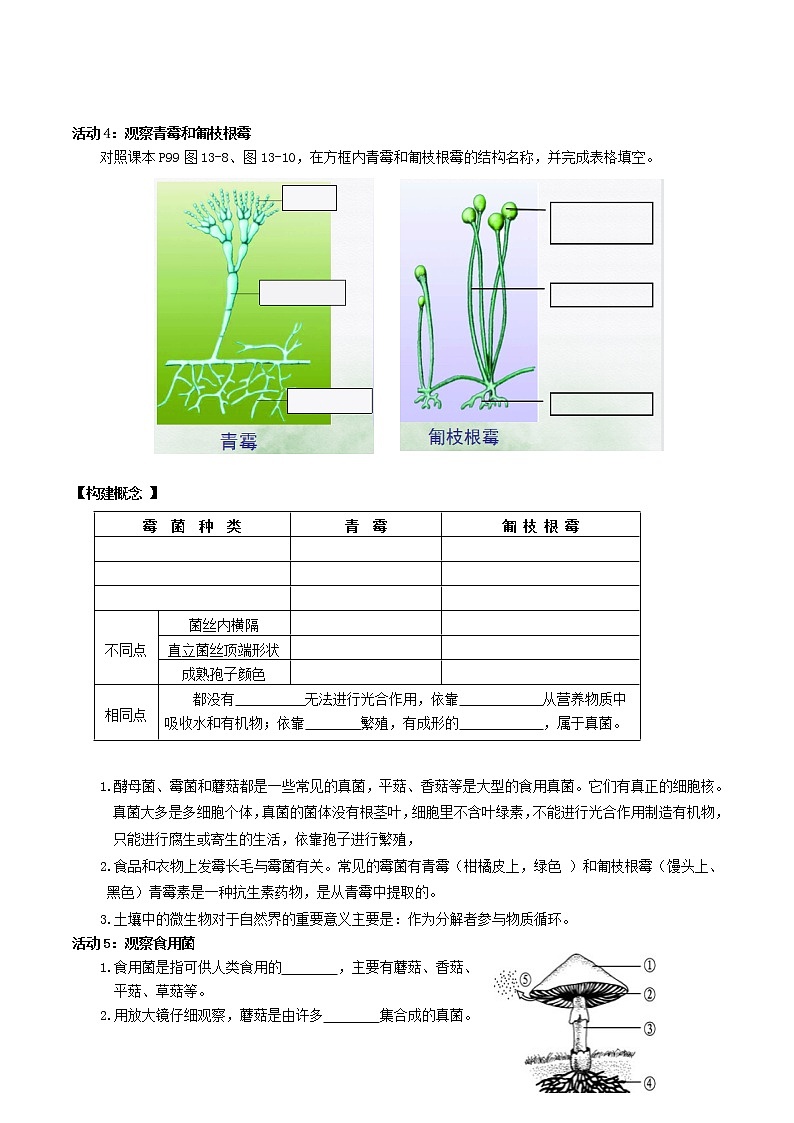 第十三章  土壤里的生物（基础卷）——2022-2023学年七年级下册生物单元卷（苏科版）（原卷版+解析版）03