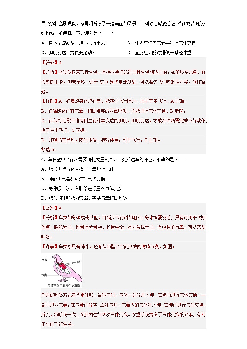 第十二章  空中的生物（培优卷）——2022-2023学年七年级下册生物单元卷（苏科版）（原卷版+解析版）02