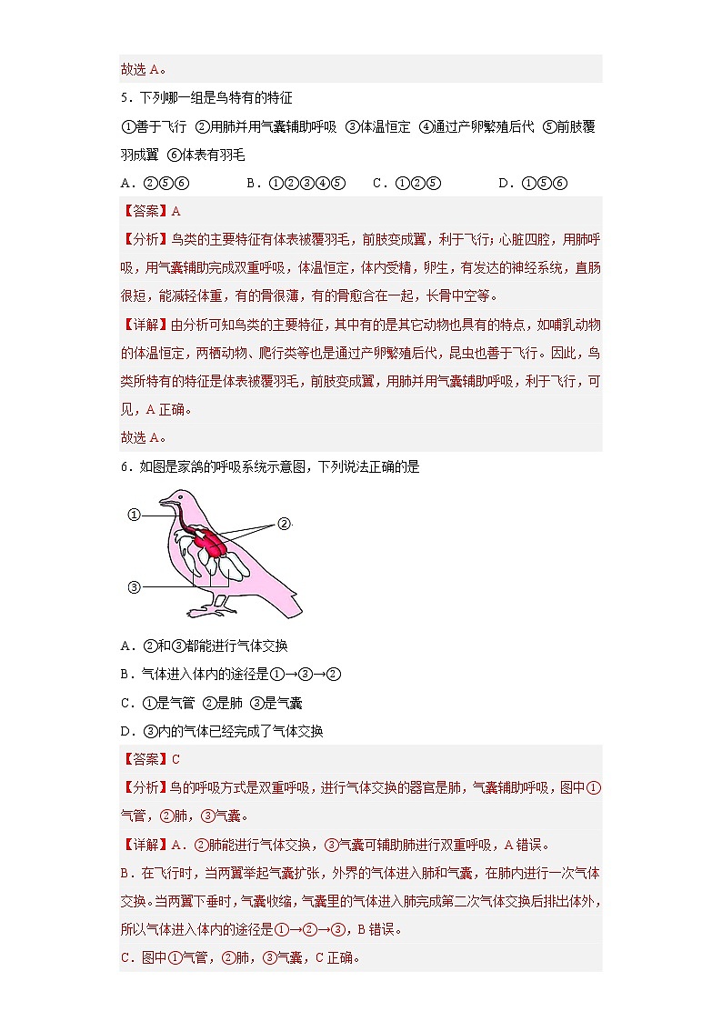 第十二章  空中的生物（培优卷）——2022-2023学年七年级下册生物单元卷（苏科版）（原卷版+解析版）03