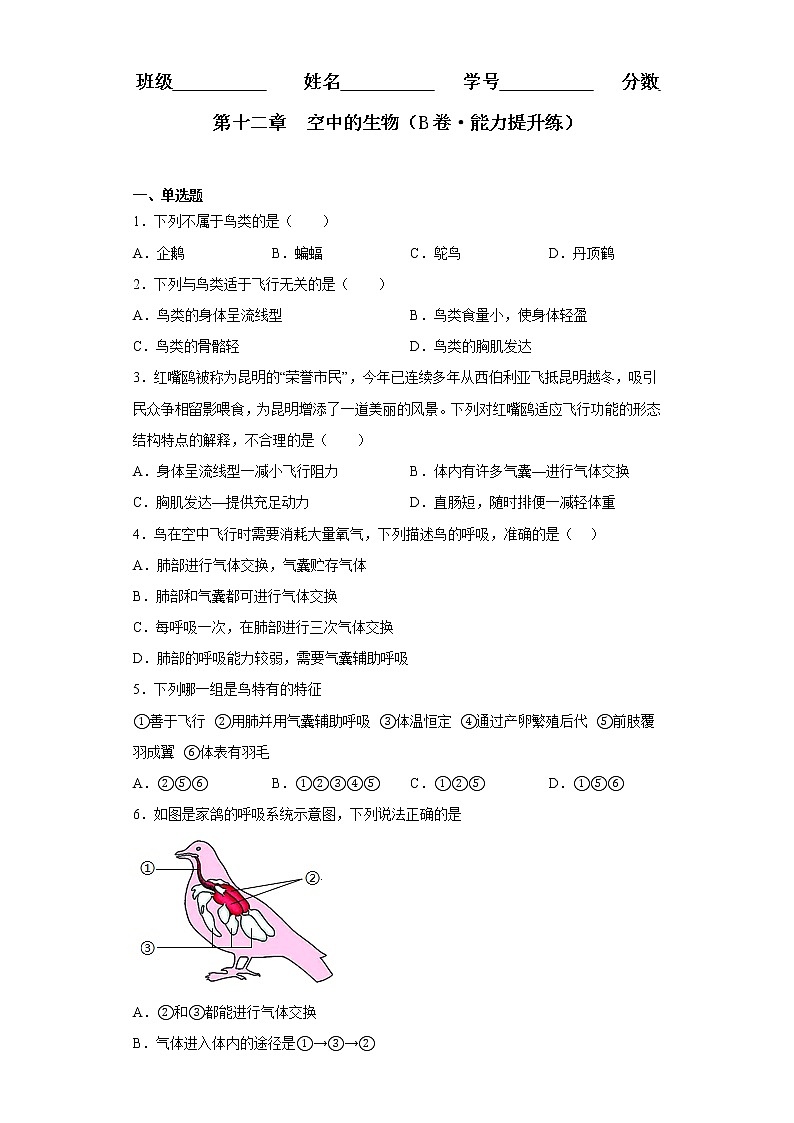 第十二章  空中的生物（培优卷）——2022-2023学年七年级下册生物单元卷（苏科版）（原卷版+解析版）01