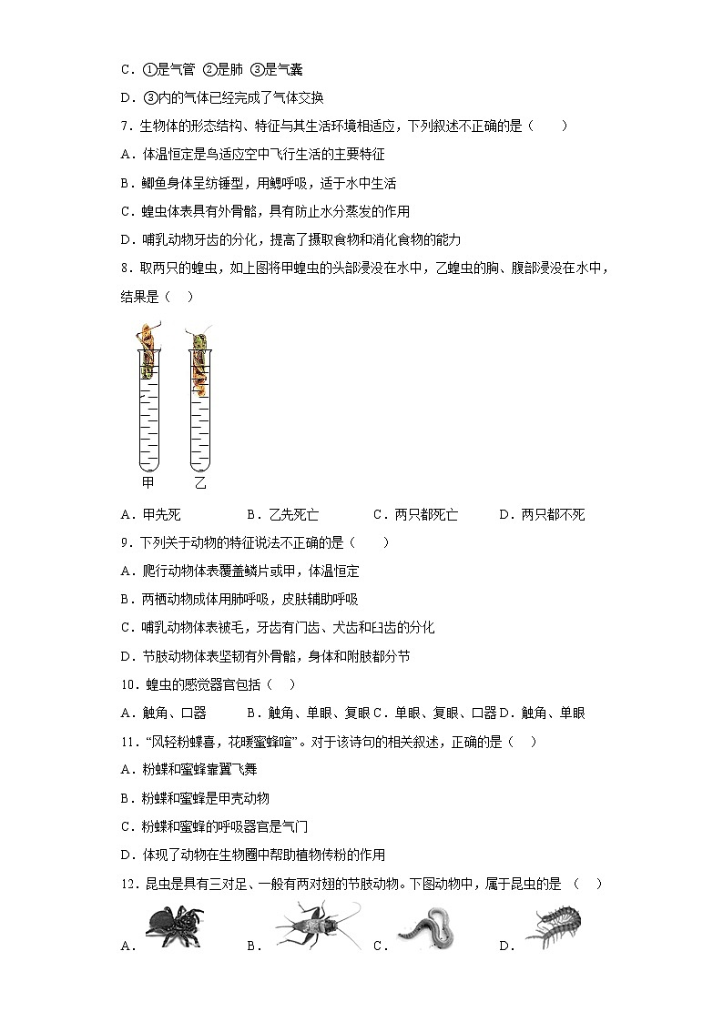 第十二章  空中的生物（培优卷）——2022-2023学年七年级下册生物单元卷（苏科版）（原卷版+解析版）02