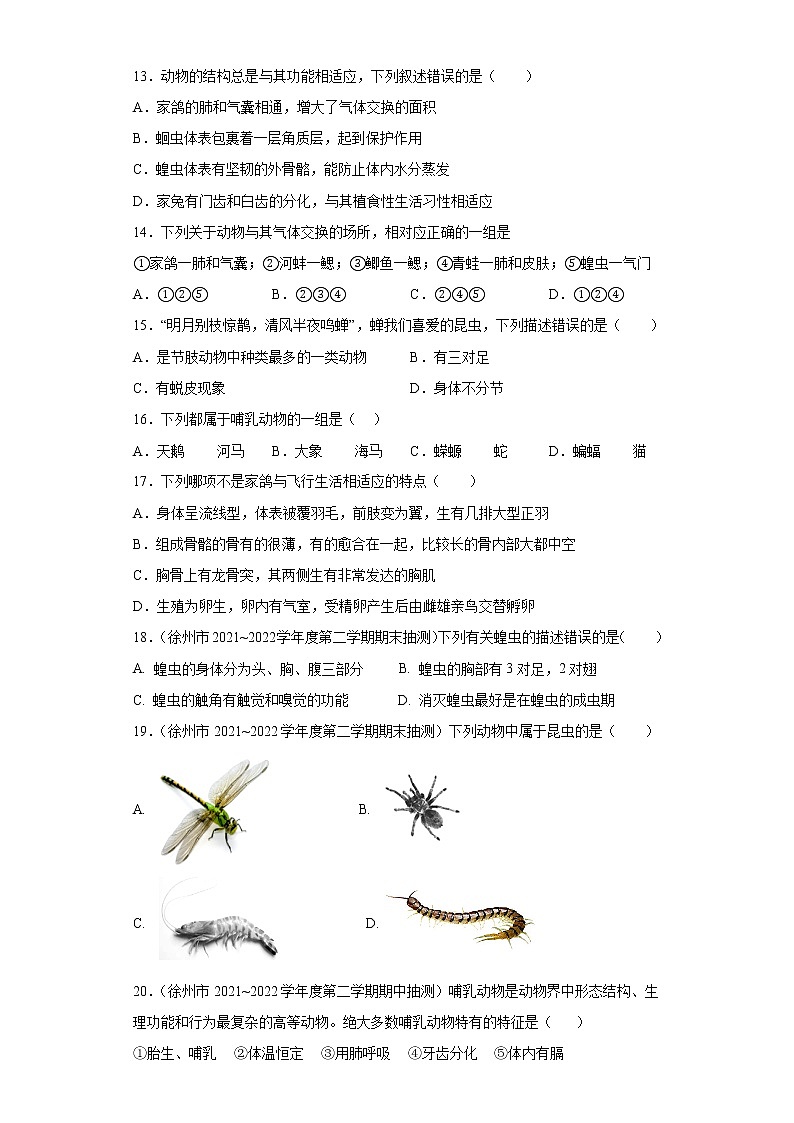 第十二章  空中的生物（培优卷）——2022-2023学年七年级下册生物单元卷（苏科版）（原卷版+解析版）03