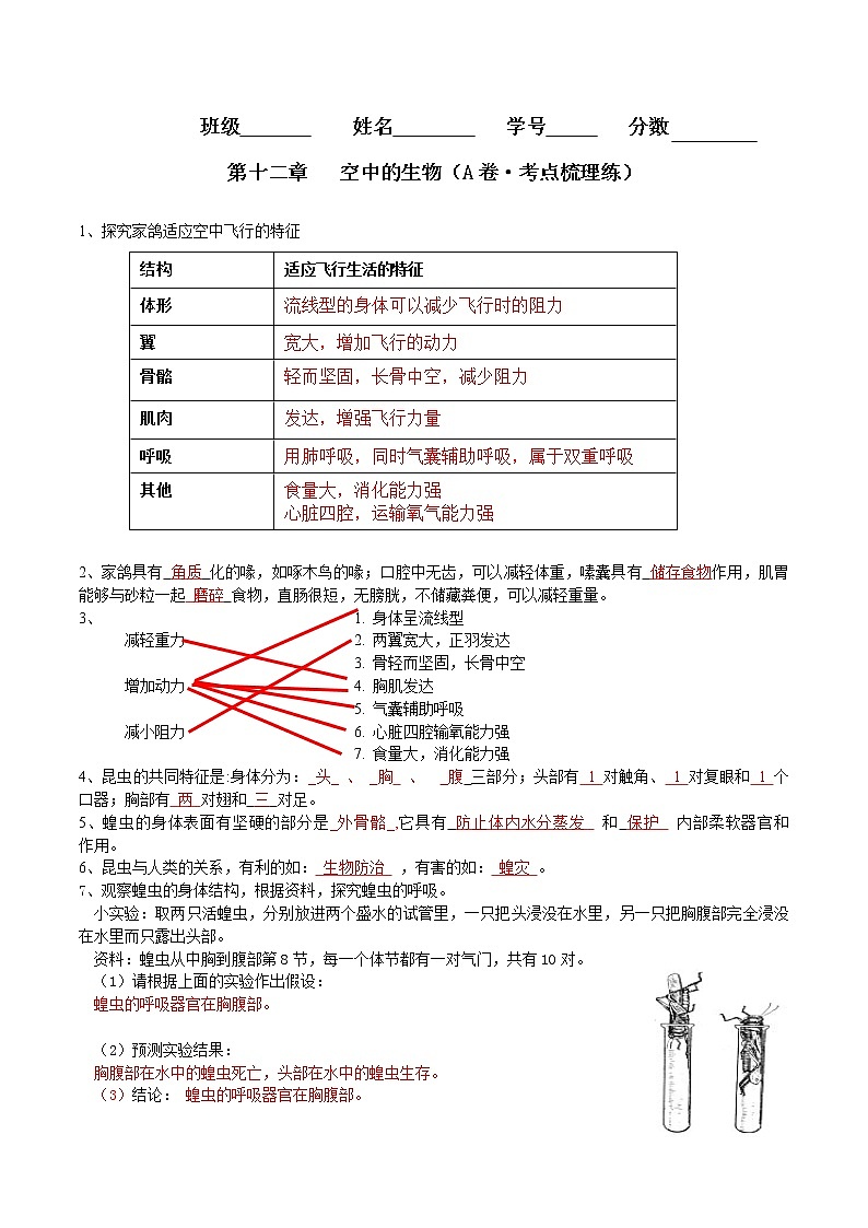 第十二章  空中的生物（基础卷）——2022-2023学年七年级下册生物单元卷（苏科版）（原卷版+解析版）01