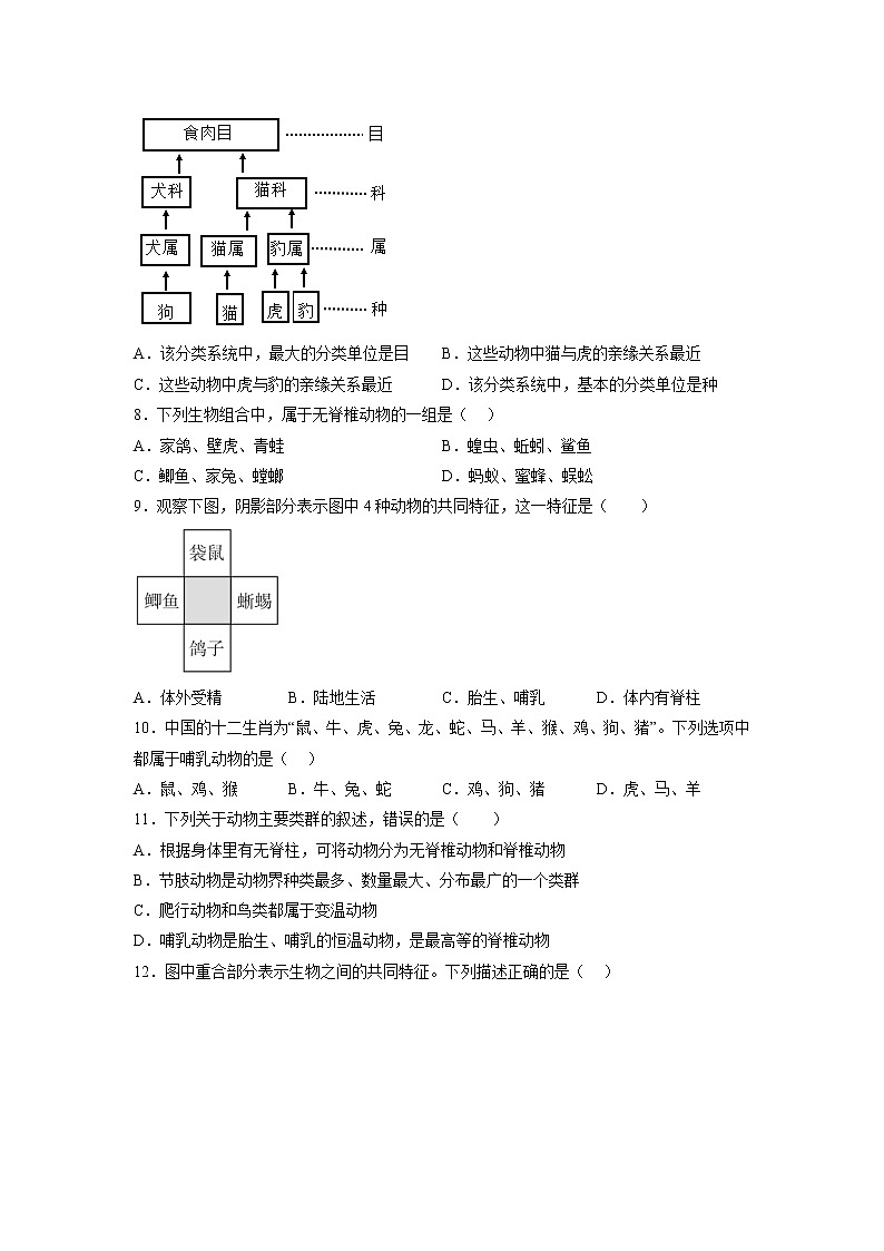 第十四章  生物的命名和分类（培优卷）——2022-2023学年七年级下册生物单元卷（苏科版）（原卷版+解析版）02