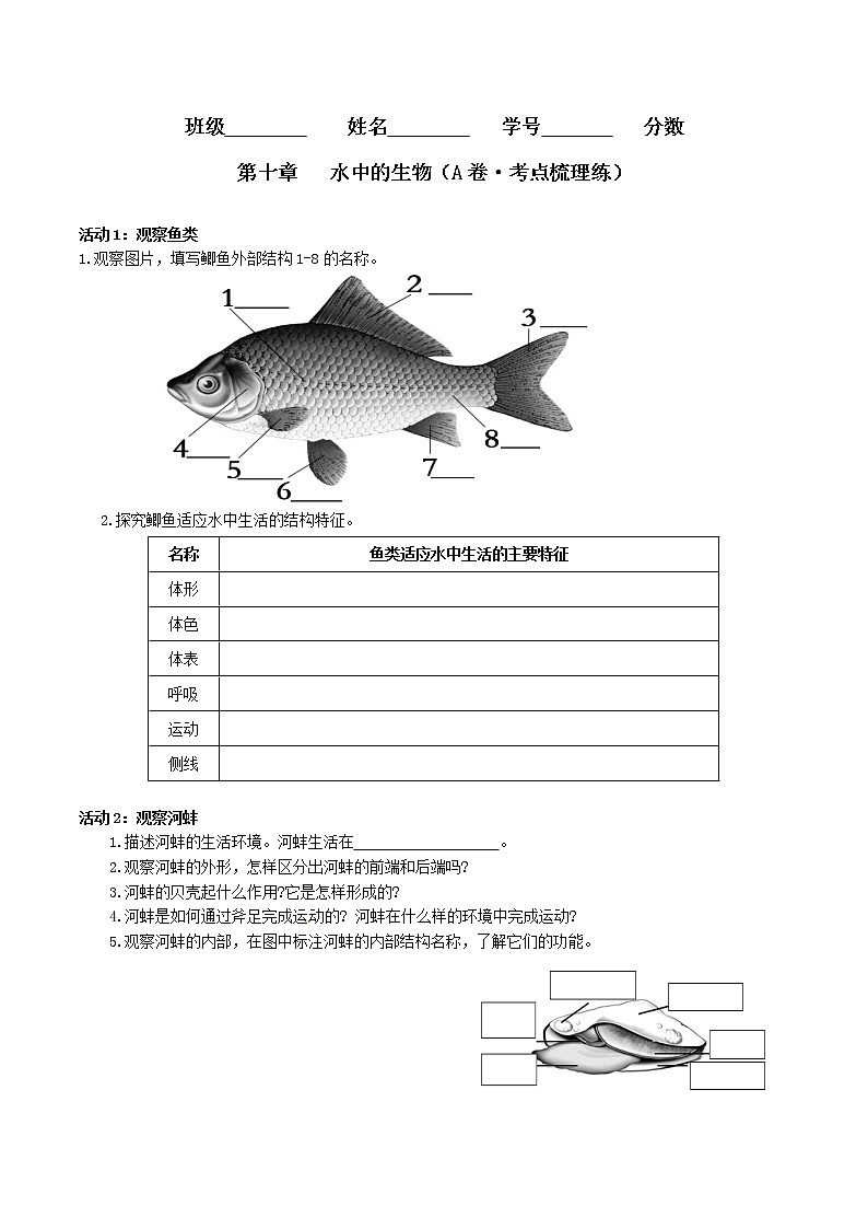 第十章 水中的生物（基础卷）（原卷版）第1页
