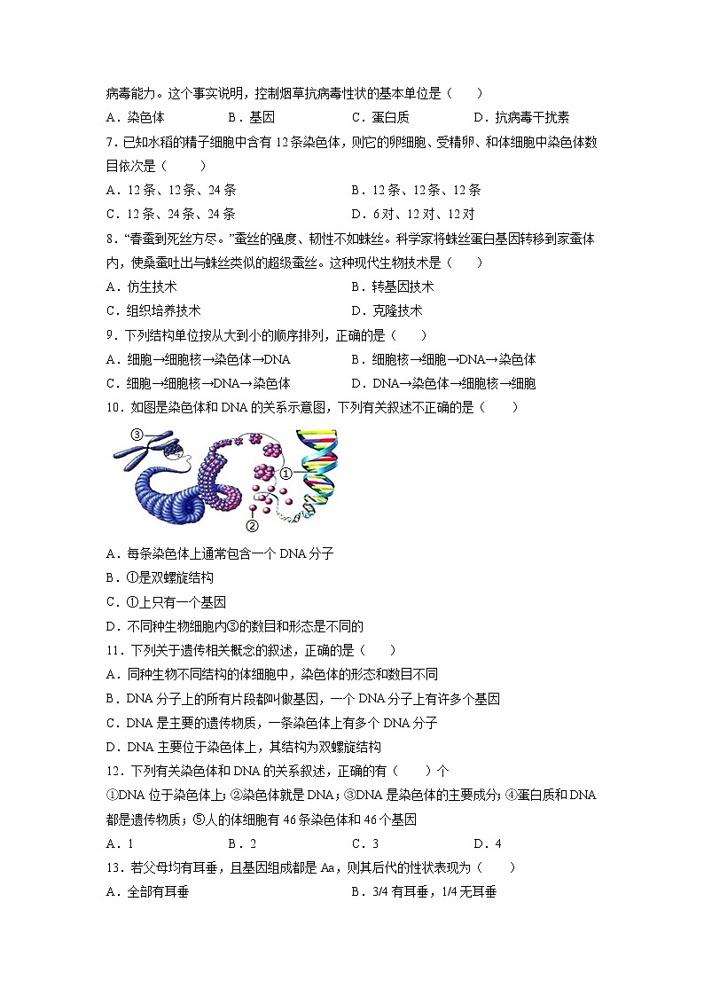 第2章 生物的遗传和变异（培优卷）——2022-2023学年八年级下册生物单元卷（人教版）（原卷版+解析版）02