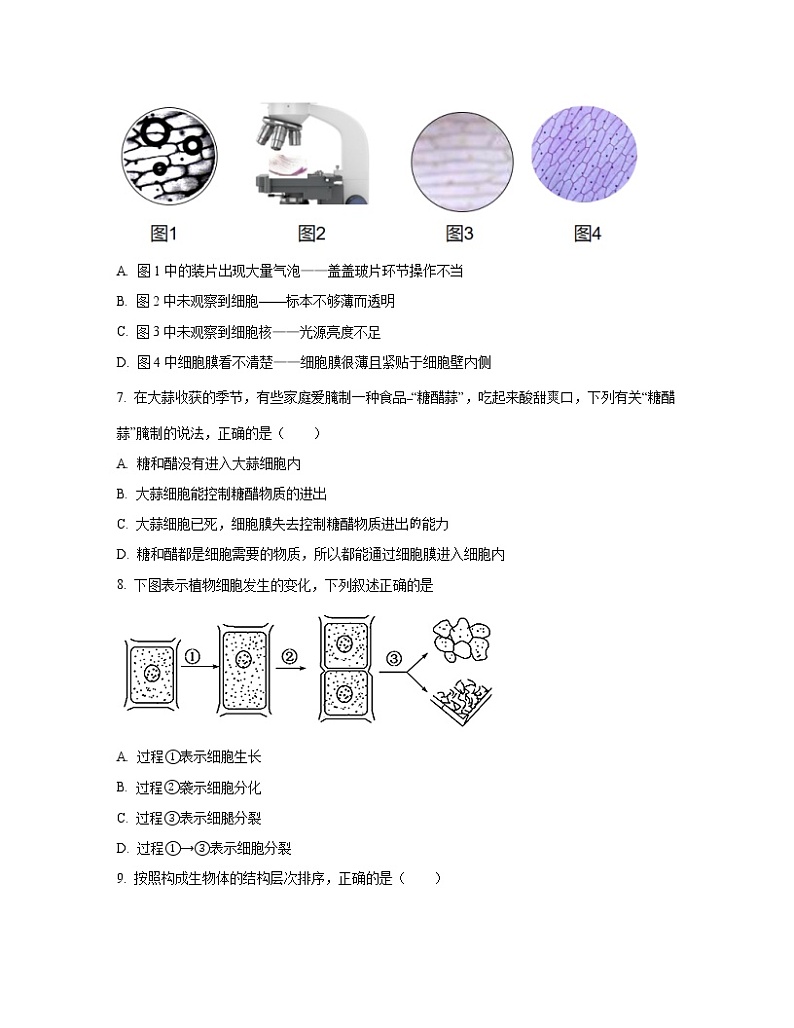 河北省承德地区2022-2023学年七年级上册生物期末专项突破试卷第2页