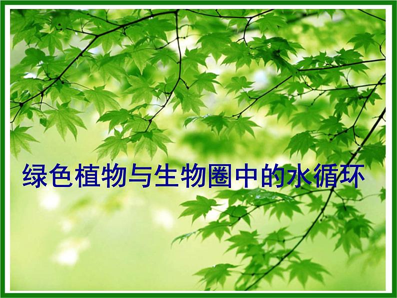 3.3绿色植物参与生物圈的水循环课件PPT01