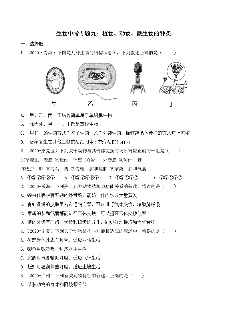 专题九：植物、动物、微生物的种类 （全国2020----2022年生物中考真题训练）第1页