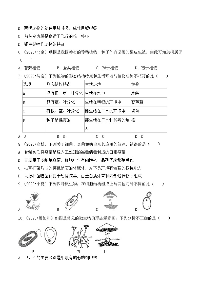 专题九：植物、动物、微生物的种类 （全国2020----2022年生物中考真题训练）第2页