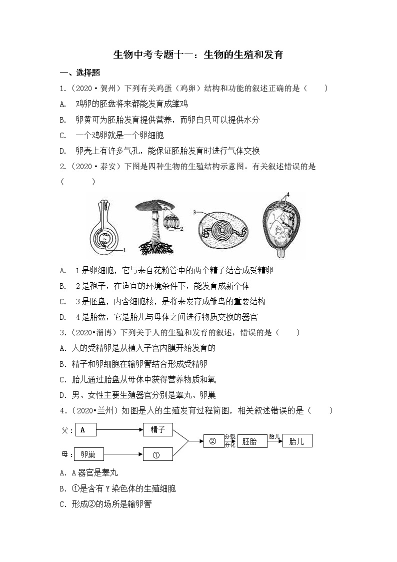 专题十一：生物的生殖和发育 （全国2020----2022年生物中考真题训练）01