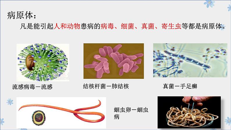 第四单元第十三章第二节预防传染病课件  北师大版生物七年级下册06