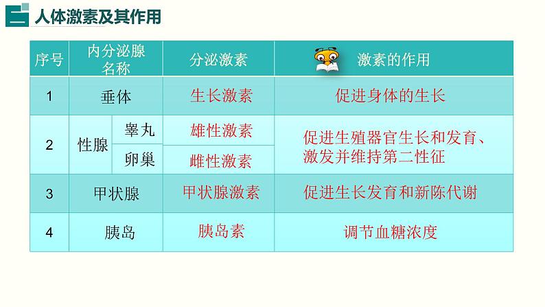 第四单元第十二章第三节激素调节课件  北师大版生物七年级下册07