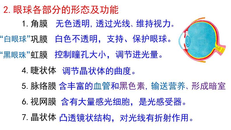 第四单元第十二章第二节视觉和视觉器官  课件  北师大版生物七年级下册第4页