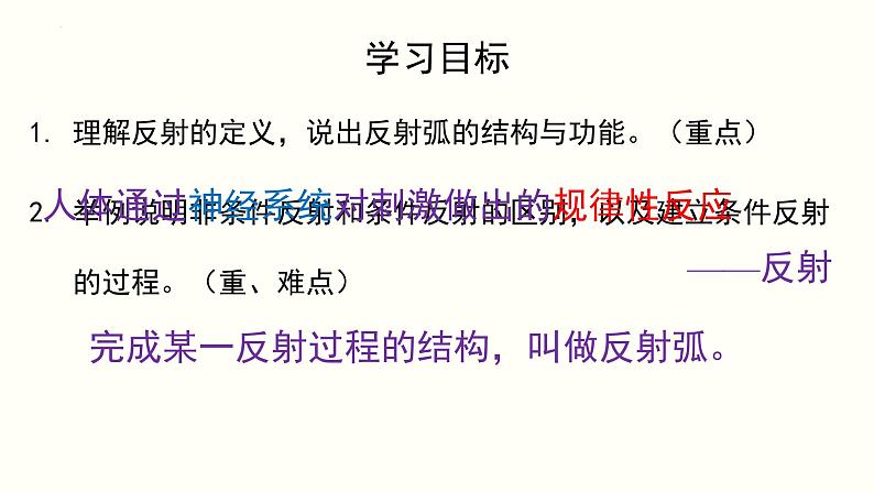 第四单元第十二章第一节反射及其类型课件  北师大版生物七年级下册第4页