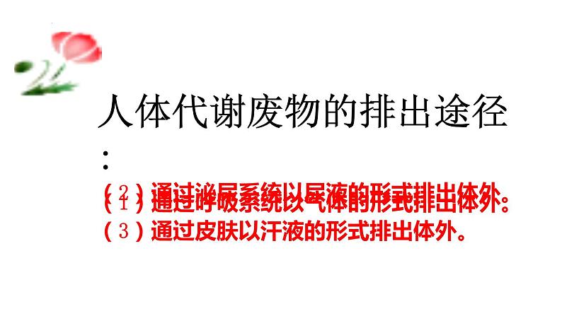 第四单元第十一章第三节 皮肤与汗液分泌课件  北师大版生物七年级下册02